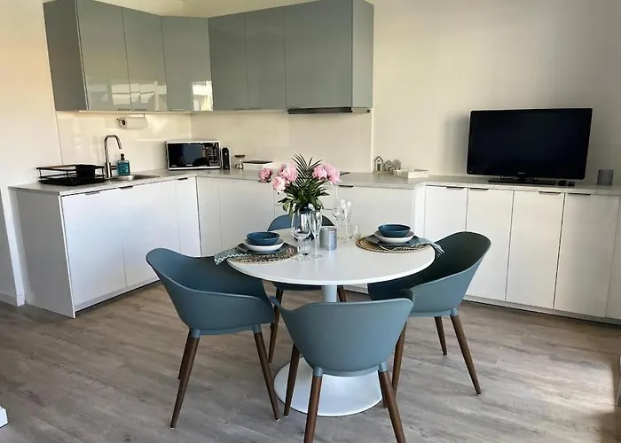 New With Swimming Pool Beaulieu-sur-Mer
